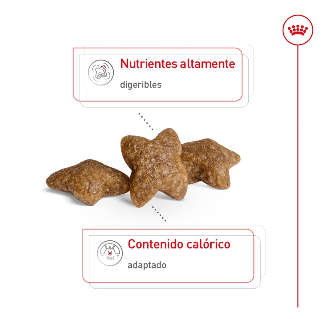 Royal Canin Perro Adulto Raza Pequeña