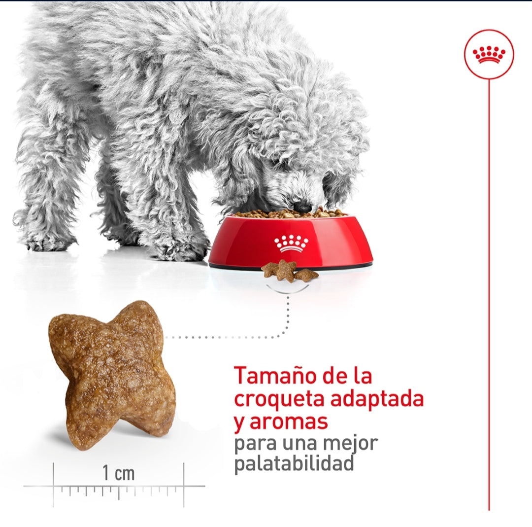 Royal Canin Perro Adulto Raza Pequeña