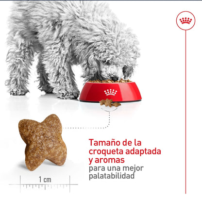 Royal Canin Perro Adulto Raza Pequeña