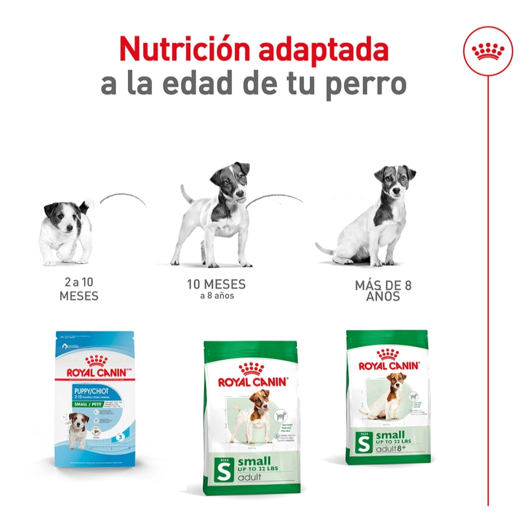 Royal Canin Perro Adulto Raza Pequeña