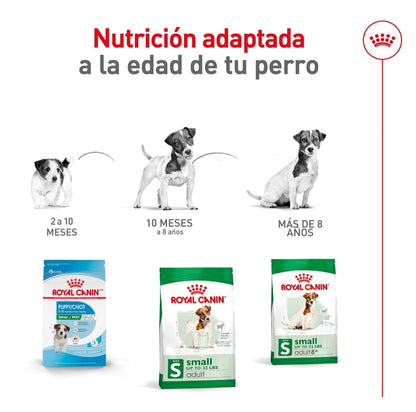 Royal Canin Perro Adulto Raza Pequeña