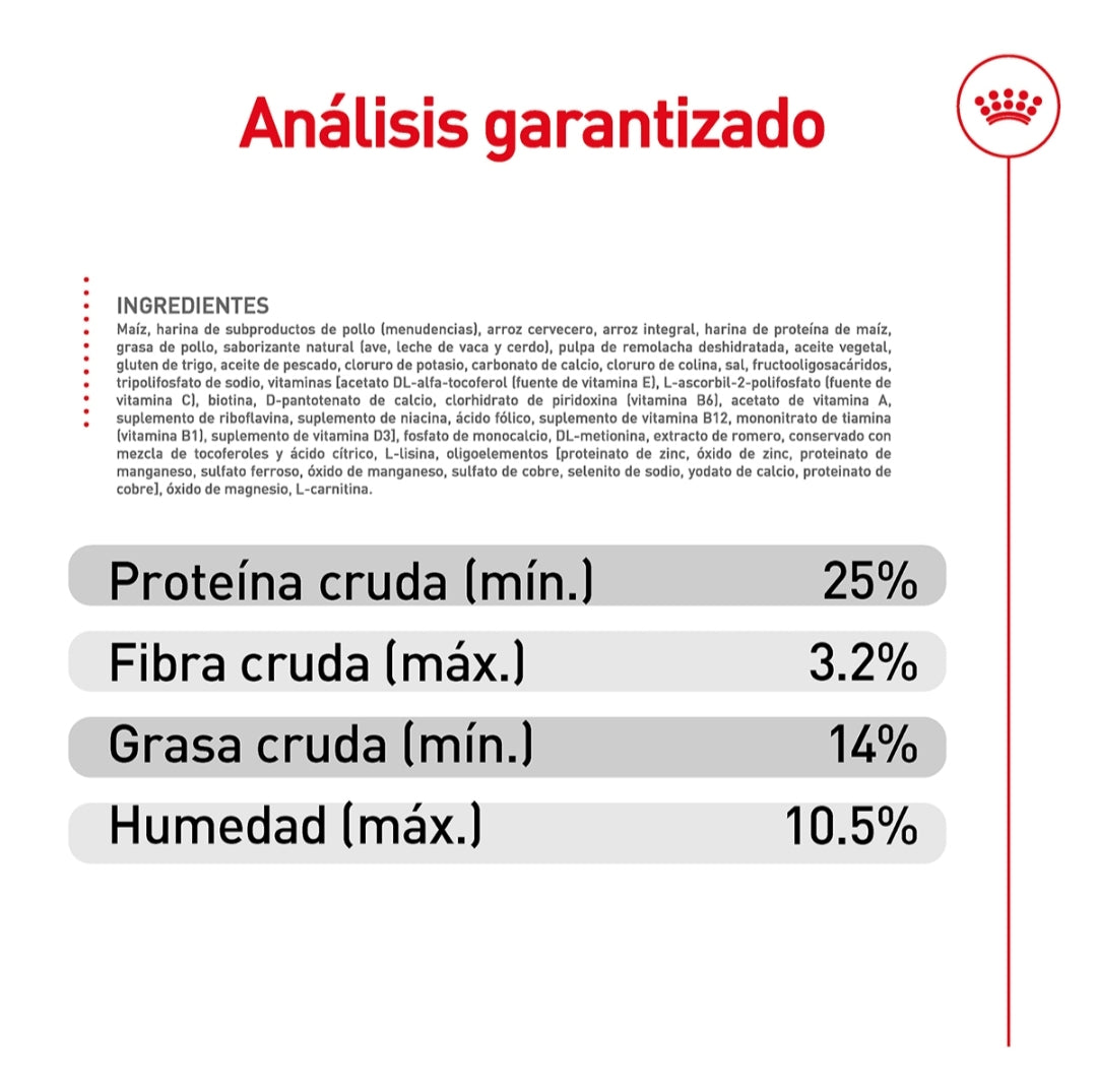 Royal Canin Perro Adulto Raza Pequeña