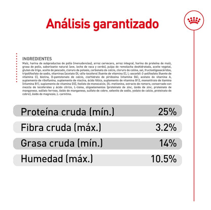 Royal Canin Perro Adulto Raza Pequeña