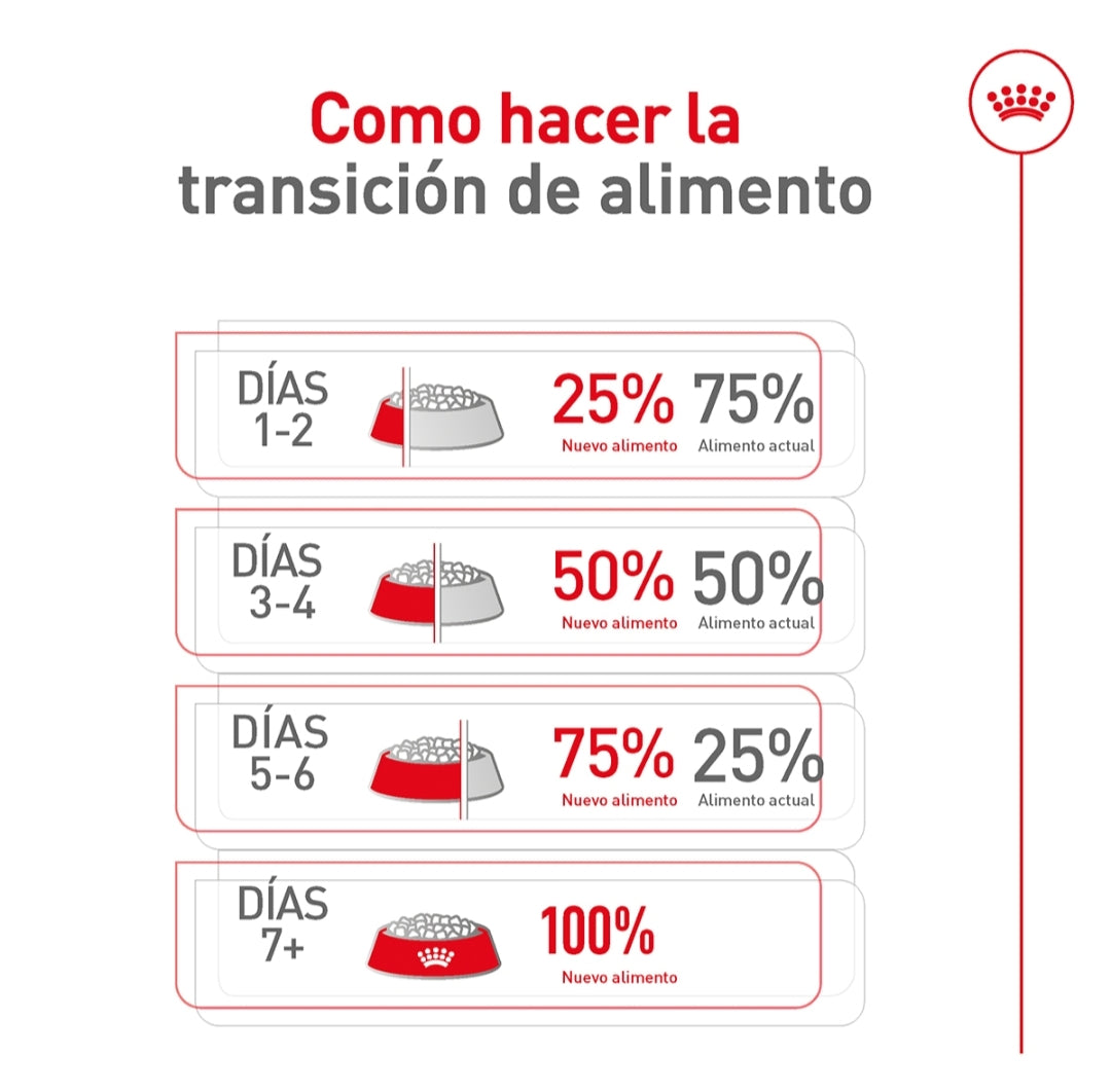 Royal Canin Perro Adulto Raza Pequeña
