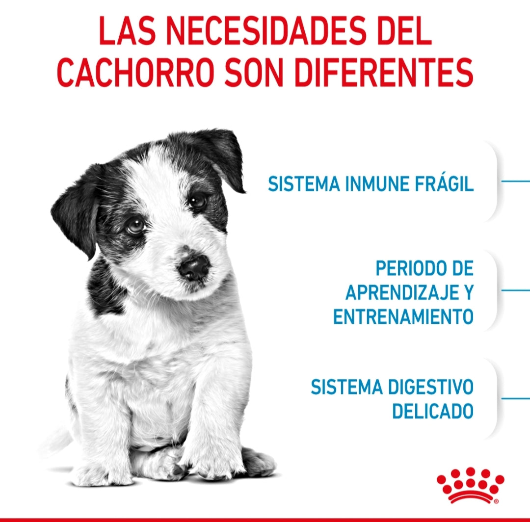 Royal Canin Cachorro Raza Pequeña