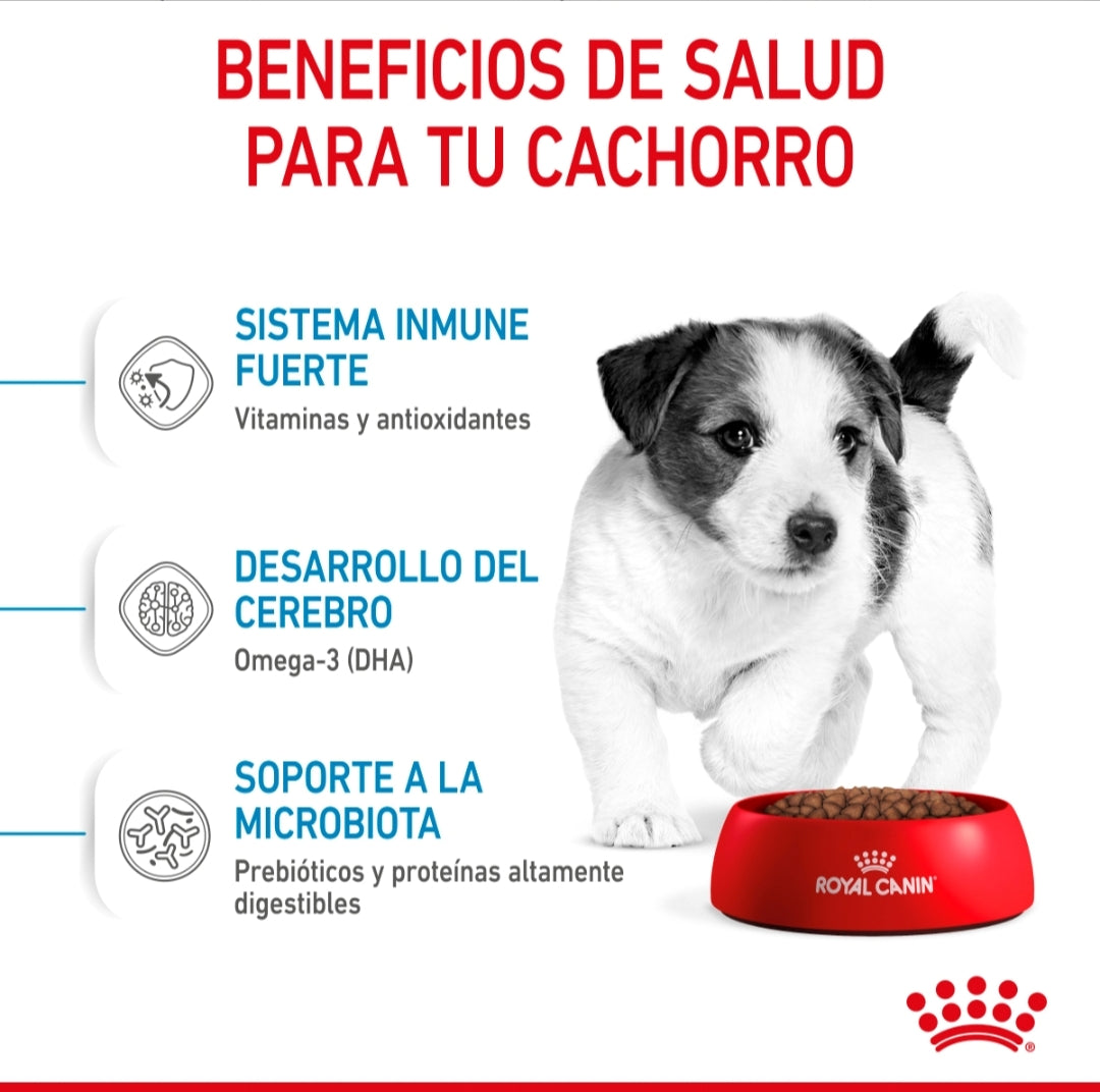 Royal Canin Cachorro Raza Pequeña