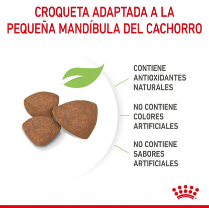 Royal Canin Cachorro Raza Pequeña