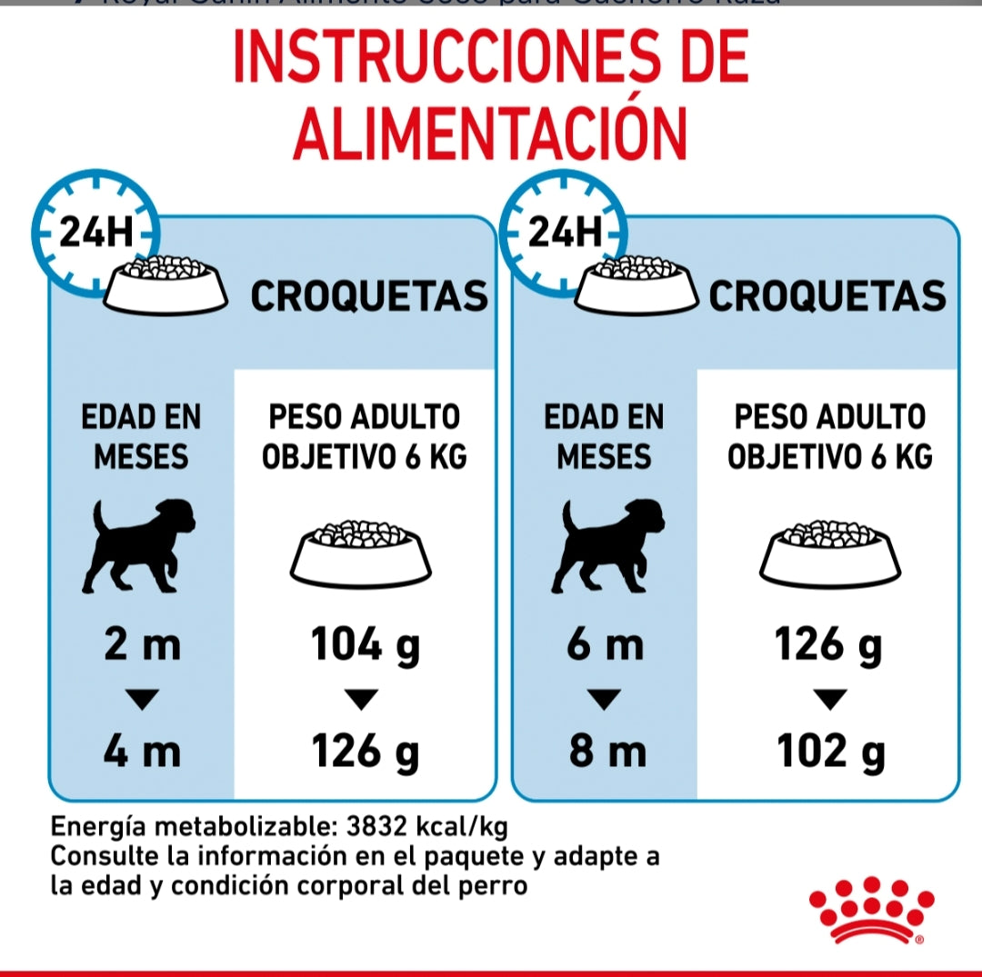 Royal Canin Cachorro Raza Pequeña