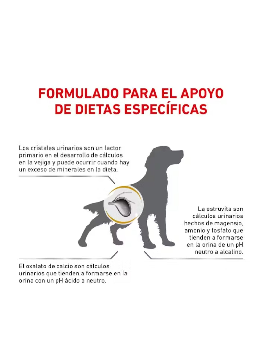 Royal Canin Uinary So