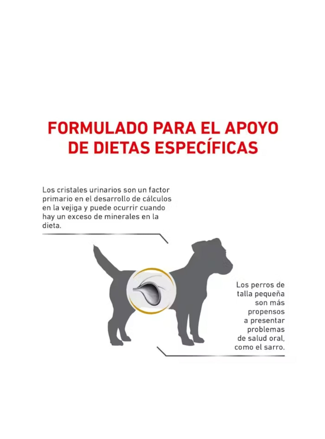 Royal Canin Urinary S/O Small Dog