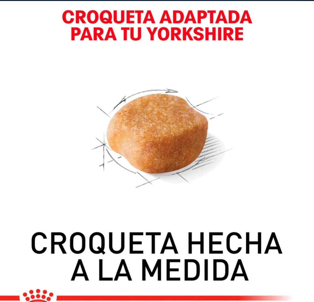 Royal Canin Yorkshire Adulto