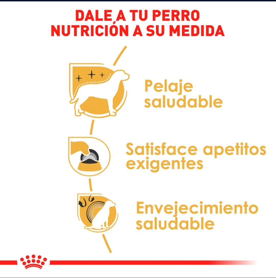 Royal Canin Yorkshire Adulto
