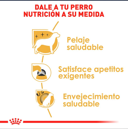 Royal Canin Yorkshire Adulto
