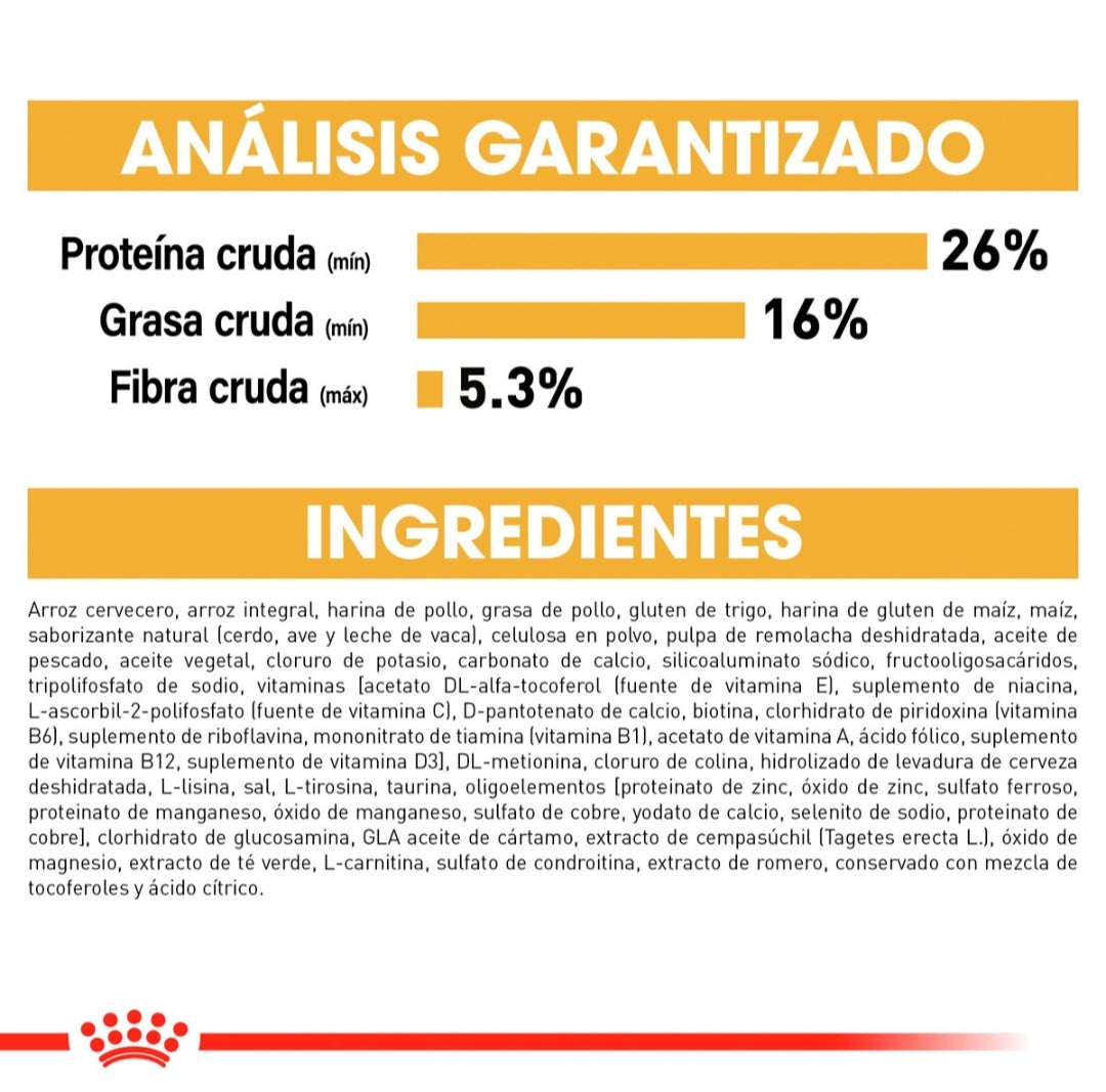 Royal Canin Yorkshire Adulto