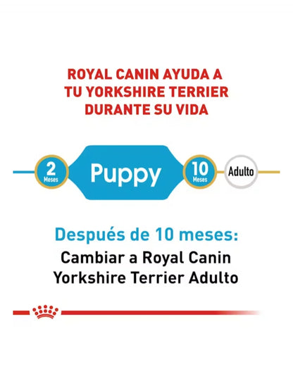 Royal Canin Yorkshire Cachorro