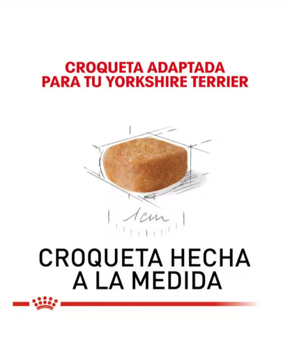 Royal Canin Yorkshire Cachorro