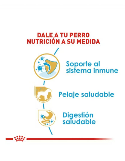 Royal Canin Yorkshire Cachorro